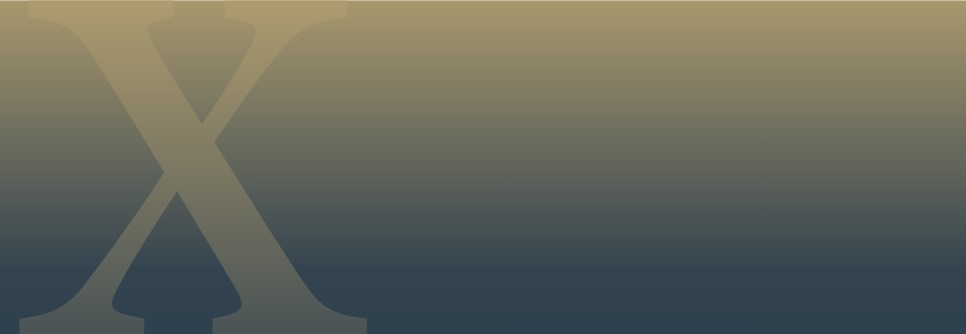 MarketVector™ XENIX® Global Dynamic Dividends 500 Index